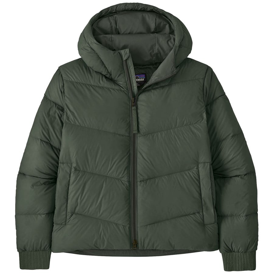 Patagonia Sindit Hoodie Jacket - Women's