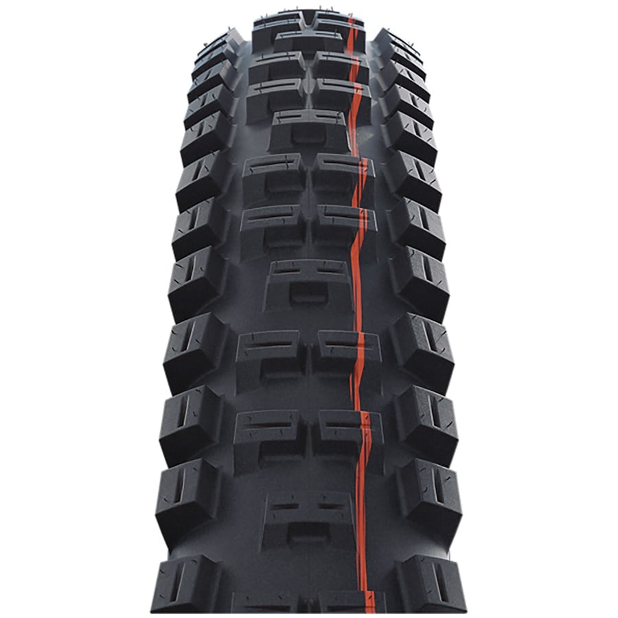 Schwalbe Big Betty Tire - 29"