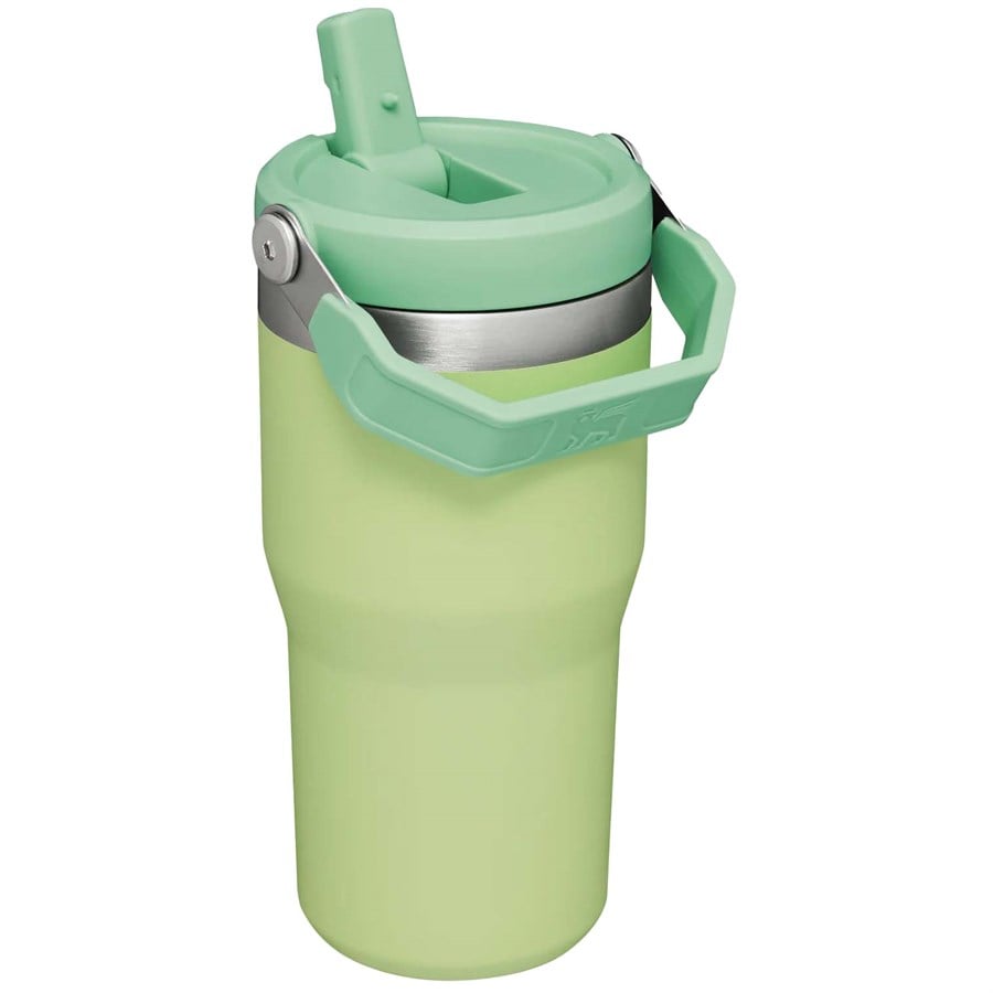 Stanley The IceFlow Flip Straw 20oz Tumbler