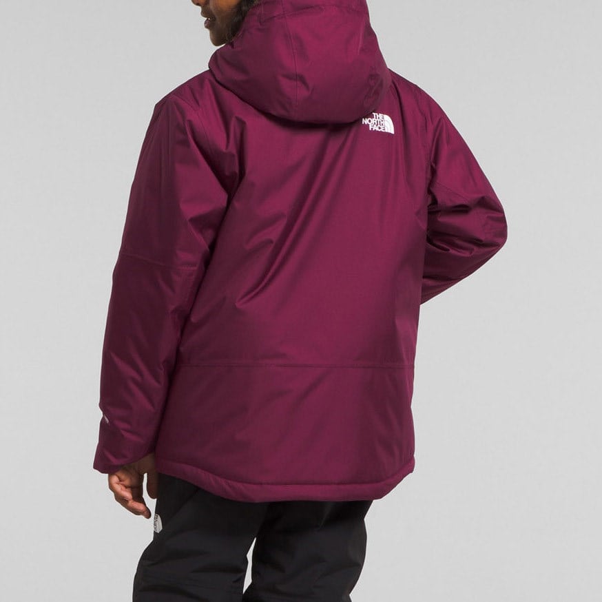 The North Face Freedom Insulated Jacket - Boys'