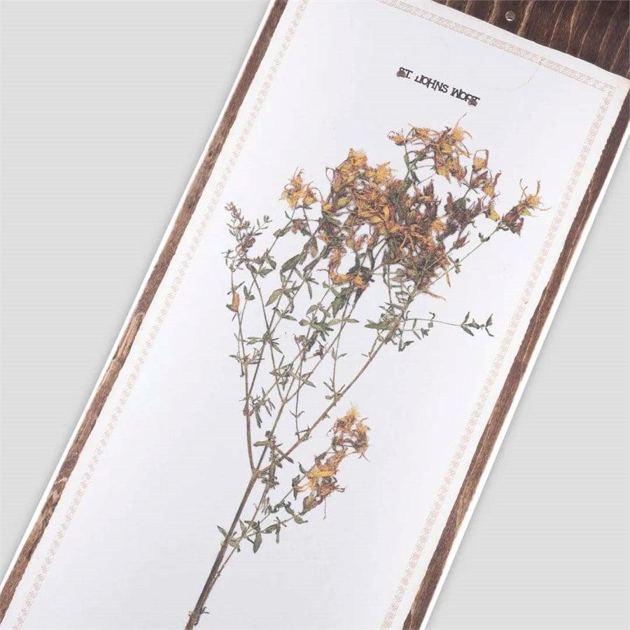 Pass~Port Invasive Species St Johns Wort 8.38 Skateboard Deck